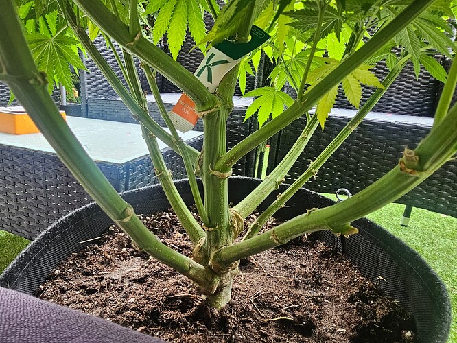 Growreport Bild 22