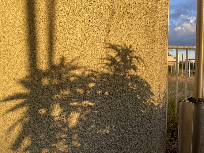 Growreport Bild 19