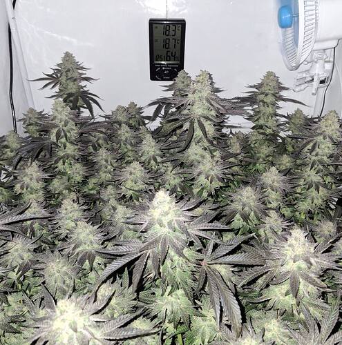 480735086_122169509546293599_5933602675719784796_n