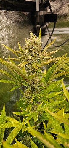 Growreport Bild 9