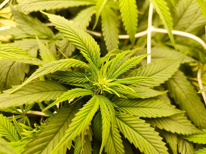 6e1abf2d-a8b5-4701-96a2-6365dc3596be