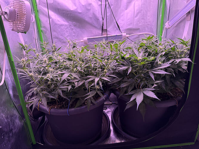 Growreport Bild 12
