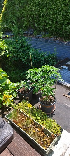 Growreport Bild 11