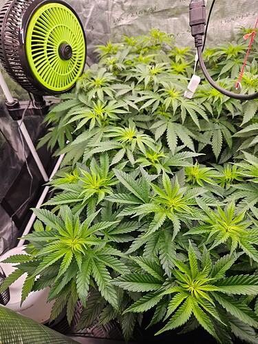 Growreport Bild 18