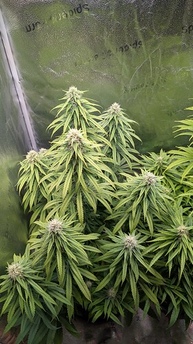 PXL_20241124_134059411