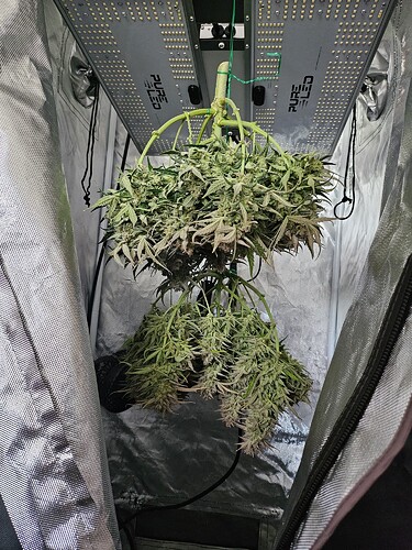 WhatsApp Bild 2024-04-29 um 13.28.04_9021004f