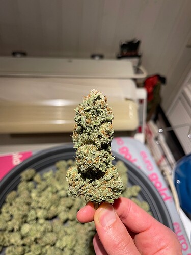 Growreport Bild 23