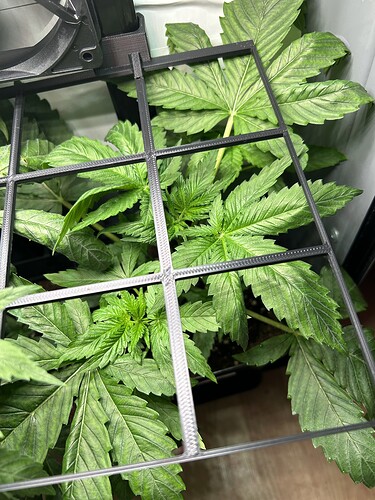 Growreport Bild 8