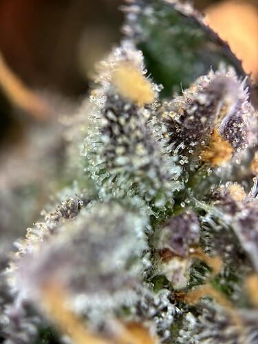Growreport Bild 17