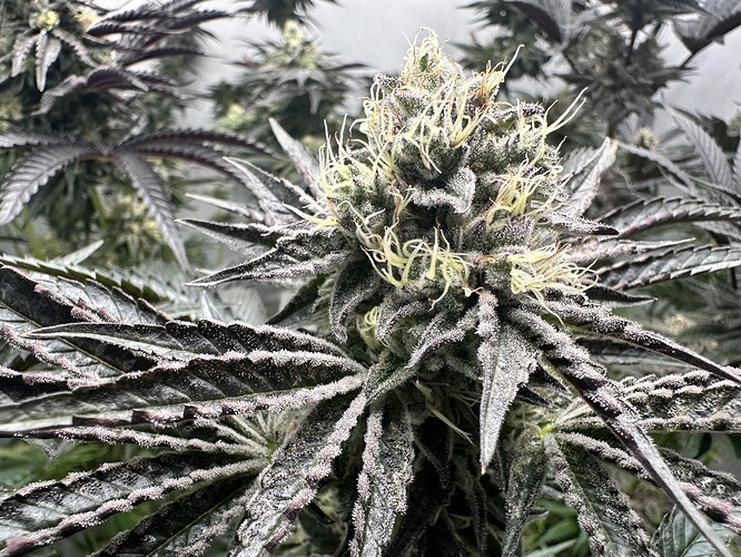 Growreport Bild 26