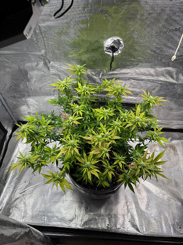 Growreport Bild 19