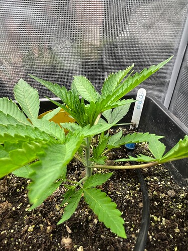 Growreport Bild 14
