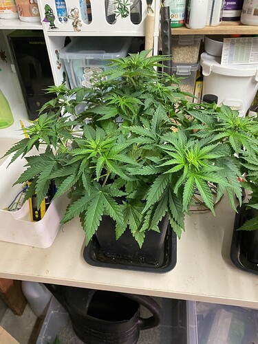 Growreport Bild 15
