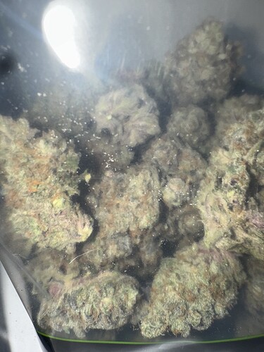 Growreport Bild 51