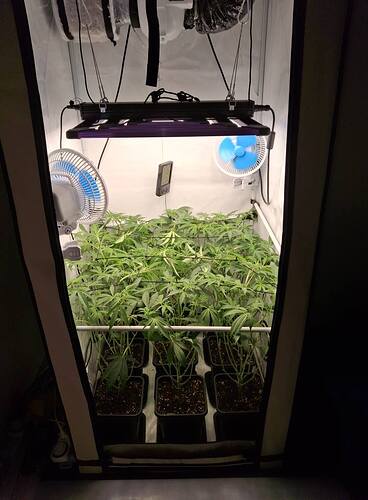 Growreport Bild 23