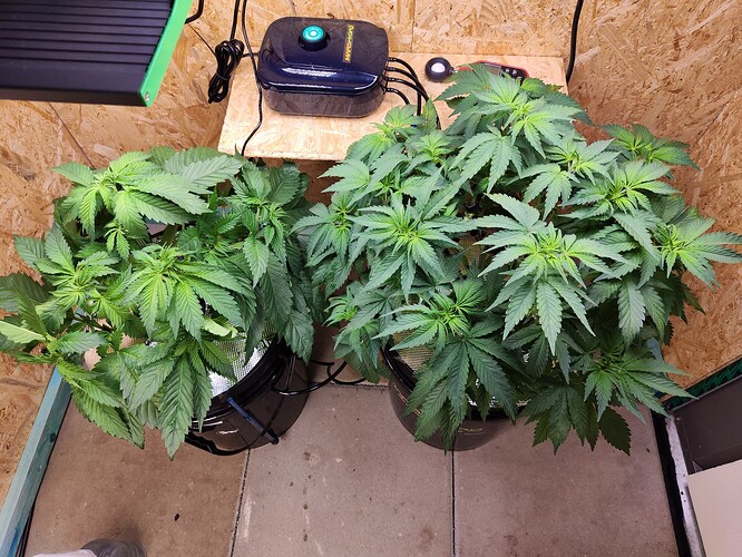 IMG_20251203_170616 (1)