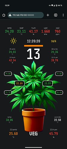 Screenshot_20250310-133944