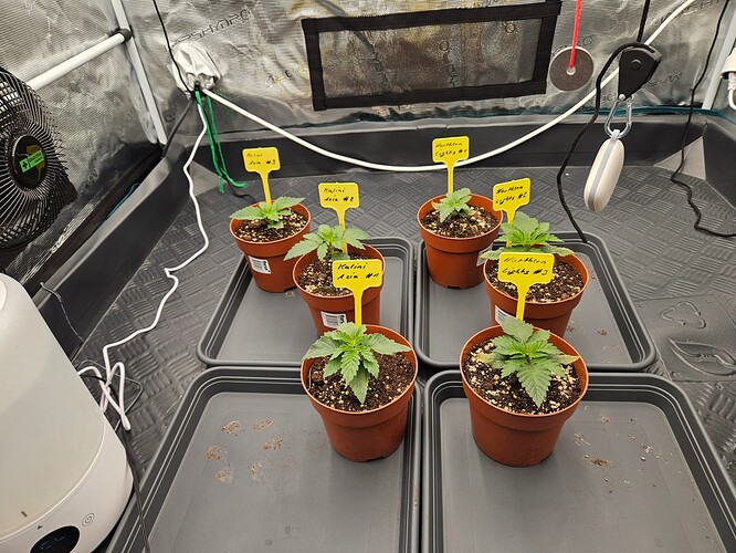 Growreport Bild 10