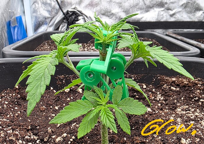 Growreport Bild 9
