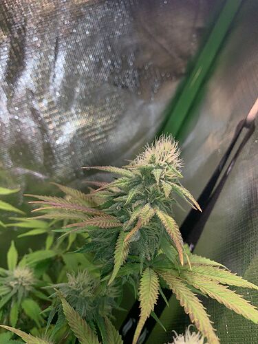 WhatsApp Bild 2025-01-04 um 19.21.25_40c396e7