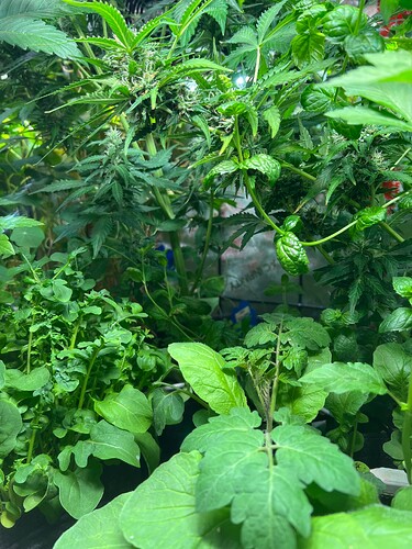 Growreport Bild 13