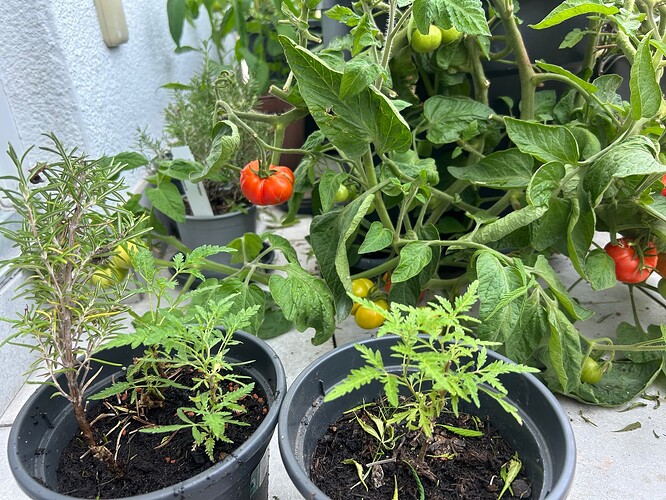 Growreport Bild 11