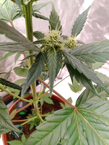 Compress_20240602_190802_2870