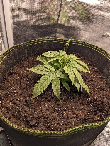 PXL_20240507_231032945