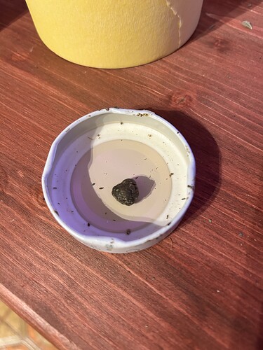 Ein einzelner kleiner Cannabis-Bud liegt in einem weißen Schraubverschluss auf einer Holzoberfläche.
