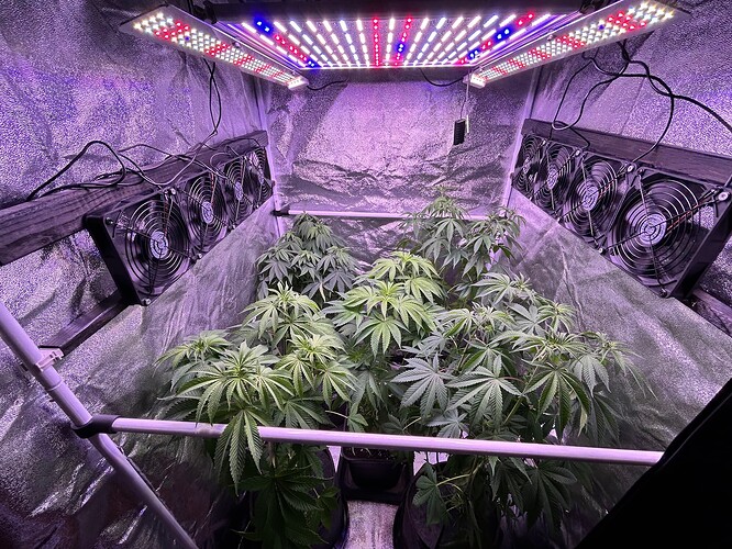 Growreport Bild 6
