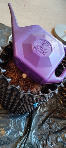 Growreport Bild 11
