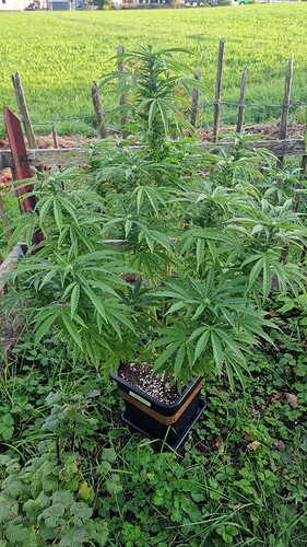 Growreport Bild 18