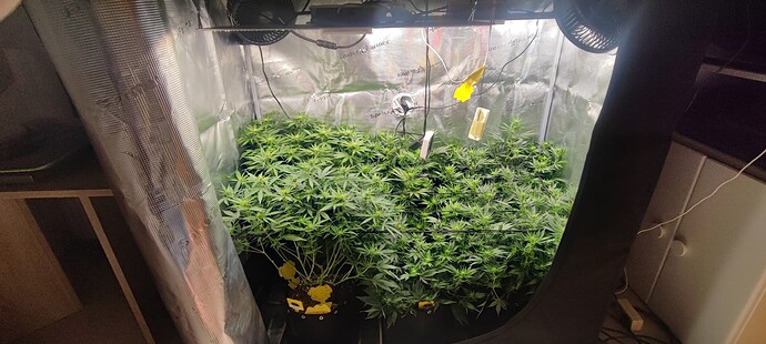 Growreport Bild 12