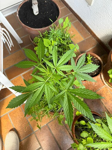 WhatsApp Image 2024-07-02 at 19.16.17 (2)