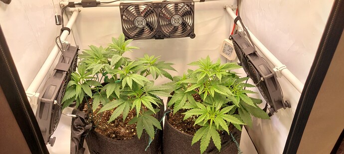 Growreport Bild 1