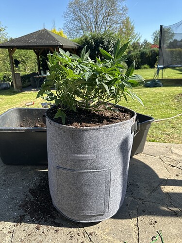 Growreport Bild 42