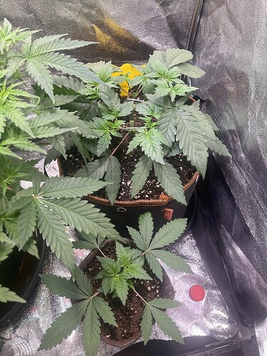 Growreport Bild 10
