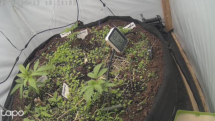 Growreport Bild 8