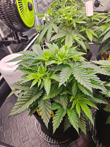 Growreport Bild 23