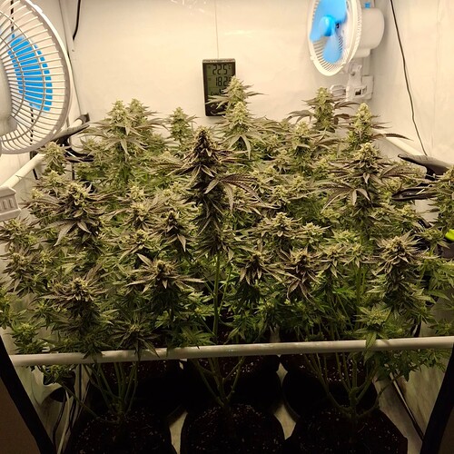 480068148_122168455736293599_499918051934958782_n