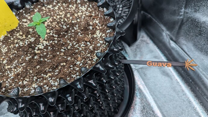 PXL_20240704_203026527.MP