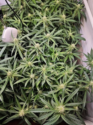 MVIMG_20251026_194258