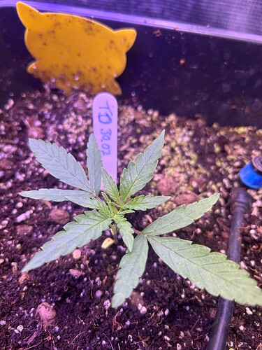 Growreport Bild 24
