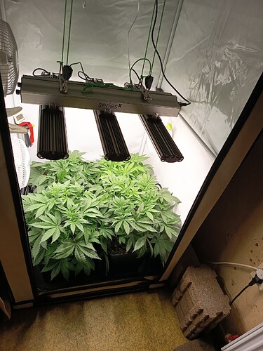 Growreport Bild 4