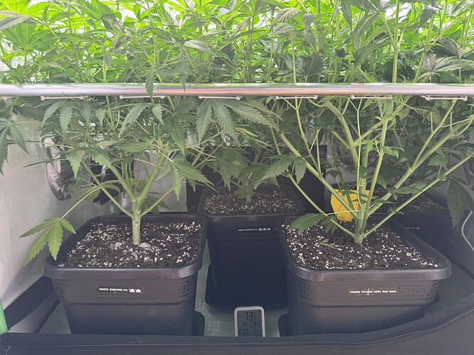 Growreport Bild 2