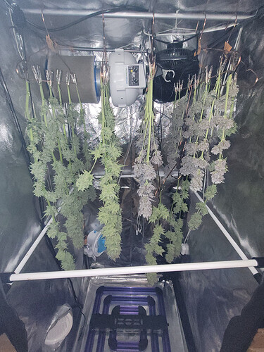 Growreport Bild 2
