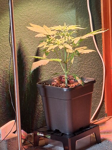 Growreport Bild 28