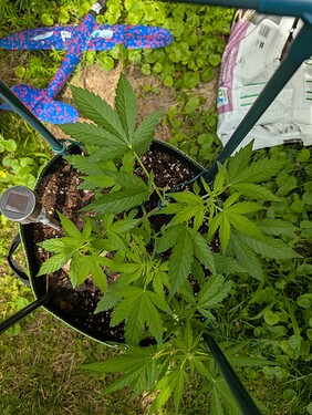 Growreport Bild 10