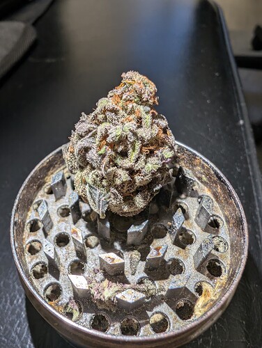 Growreport Bild 2