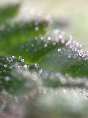 Growreport Bild 10